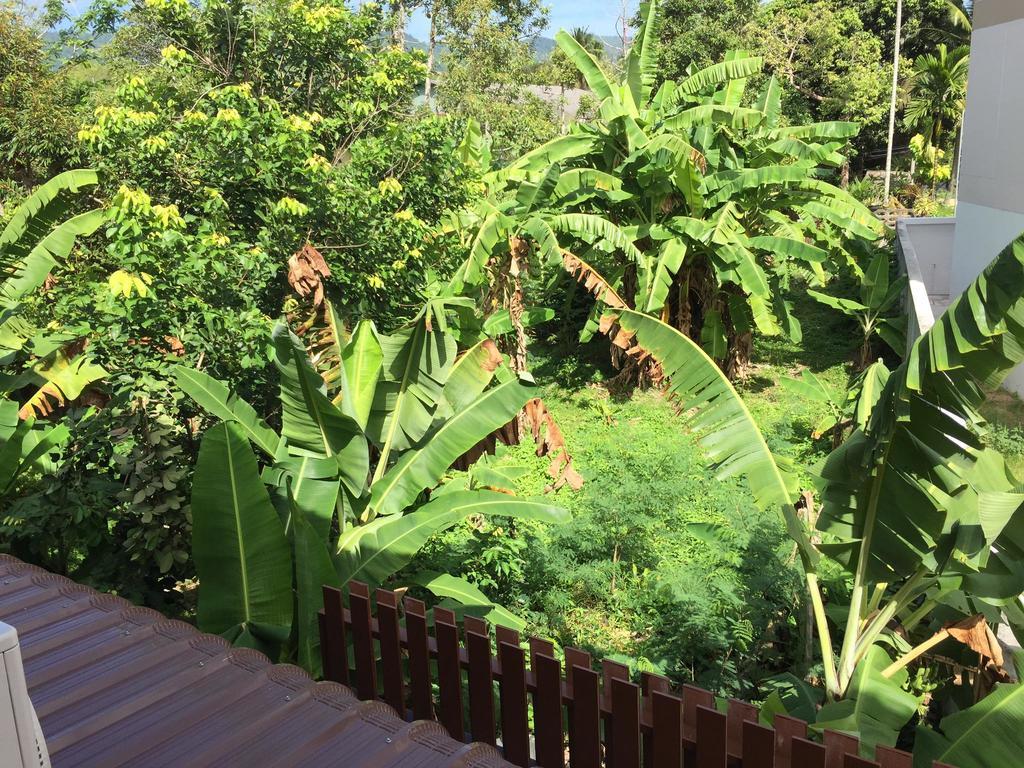 Samui Paca Place Mae Nam Exteriér fotografie